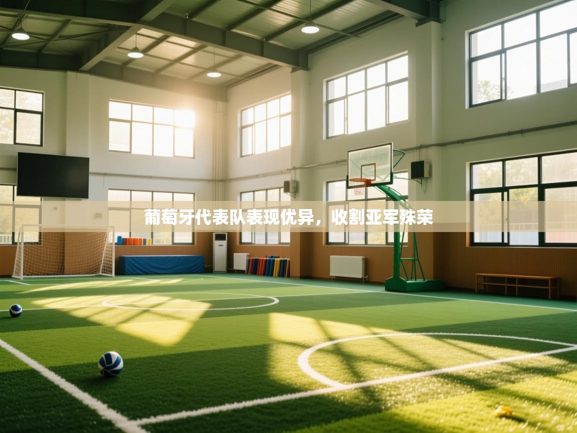 葡萄牙代表队表现优异，收割亚军殊荣  第1张